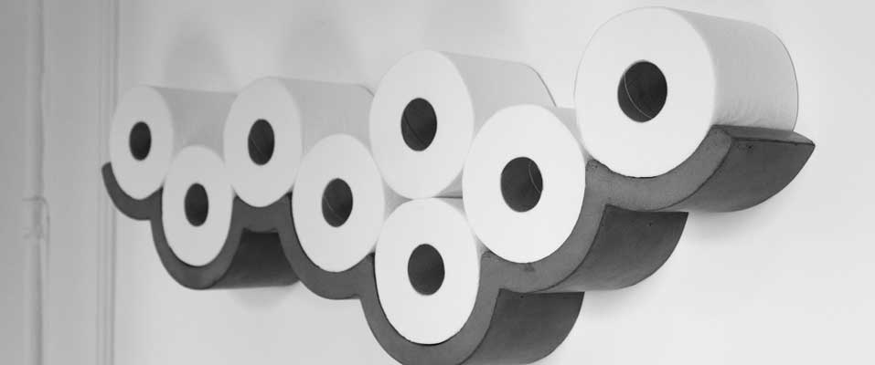 Toilet Paper Revisited: One Ply or Two Ply in Your RV?